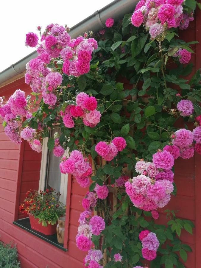 La Ferme De Kerraoul Bed & Breakfast Combrit Exterior photo